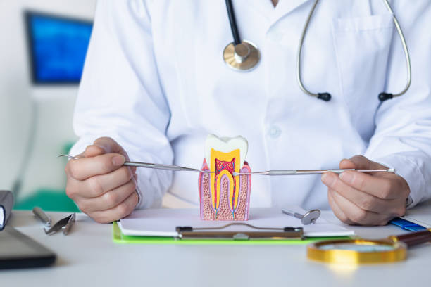 Best Orthodontic Emergency Dentist in Hidalgo, TX